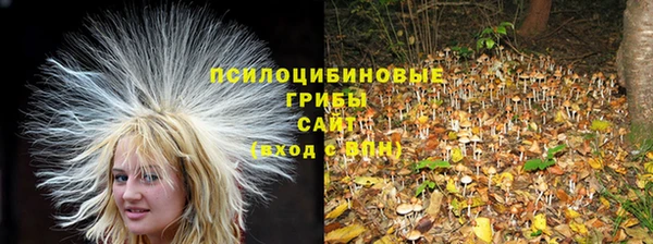 тгк Нефтегорск