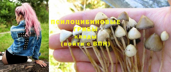 соль курить ск Нея